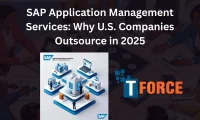 sap ams services usa